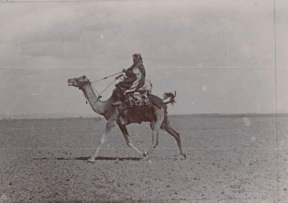 ماذا ورثنا اليوم من مرحلة التأسيس؟